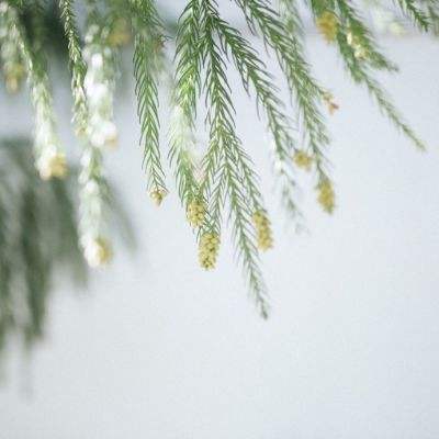 终极摩托车手修改版